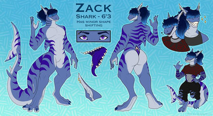 shark ref